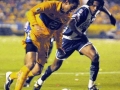 pachucacampeonapertura2003_06